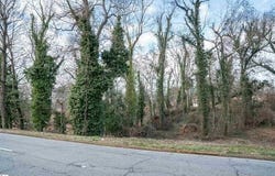 000 S Church Street Extension, Spartanburg, SC 29306