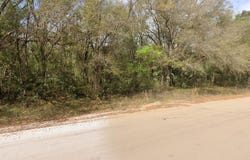 ANNETTE AVENUE, INTERLACHEN, FL 32148