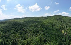 TBD HALTERMAN HOLLOW LN, MONTEREY, VA 24465