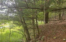 1003 County Highway 35, Masonville, NY 13839
