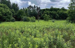 04 FREEDOM WAY, Wittenberg, WI 54499