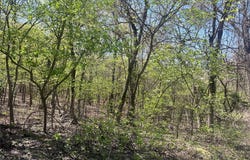 1.8 Acres, E 1168 Road, Eufaula, OK 74432