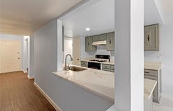 1007 Elk Grove Drive, Richardson, TX 75081