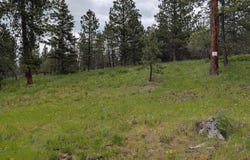 Jackpine Rd, CottonWood, ID 83522