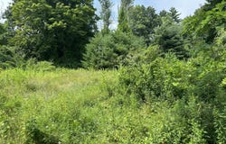 L41 State Route 149, Lake George, NY 12845