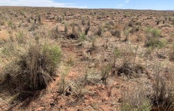 Tbd Chevron Creek Estates Lot 32, Joseph City, AZ 86032