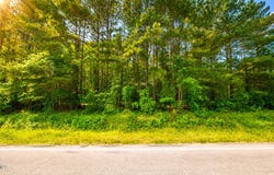 Nc-305, Jackson, NC 27845