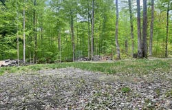 8320 Del Mason Road, Mancelona, MI 49659-7864
