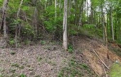 Lot 33 Black Walnut Flats Road, Sevierville, TN 37876