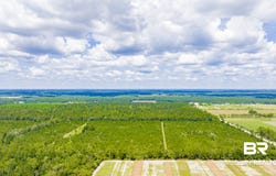 Co Road 87, Elberta, AL 36530