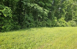 12103 Brown Bridge, Covington, GA 30016