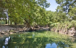 4935 Oglesby Neff Park RD, Moody, TX 76557