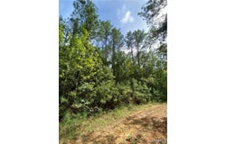 hwy 69, Gallion, AL 36742