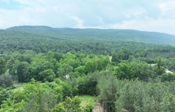 22.29 AC NORTH TEXAS ROAD, DELRAY, WV 26714