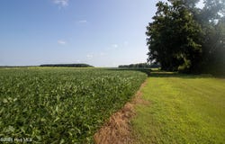 Swamp Road, Hertford, NC 27944