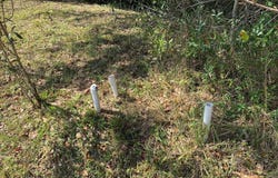 9205 SE 60th Drive, Okeechobee, FL 34974