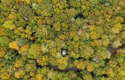 Ravenel Ridge Road lot: 1, Highlands, NC 28741
