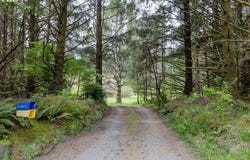 11119 PACIFIC WAY, Long Beach, WA 98631
