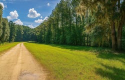 NW 218TH LANE, ALACHUA, FL 32615