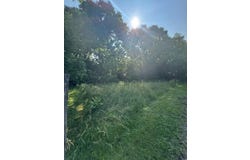 318 Perry Street, Lexington, KY 40508
