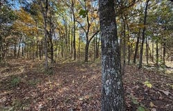 25+/-Acres S 90th Road, Flemington, MO 65650