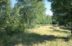 Lot 7 Chaney Coves, Bessemer, MI 49911