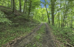 0 Keystone Furnace Road, Jackson, OH 45640