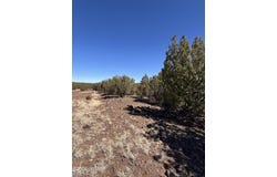 19 County Road 8230, Concho, AZ 85924