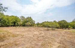 205 Pheasant Run, Sunset, TX 76270
