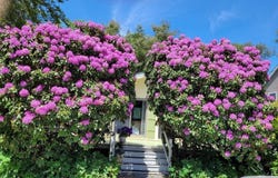 108 Steamboat Street, Jamestown, RI 02835