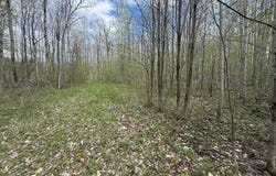 1320 County Route 49, Winthrop, NY 13697