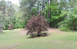 7789 BANKHEAD HIGHWAY, DORA, AL 35062