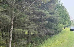 TBD County 503 CC, Rapid River, MI 49878