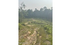 Co Rd 143, Carrollton, MS 38917