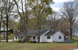 7113 SKYLINE DRIVE, PELL CITY, AL 35128