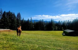 162 BYLIN Rd, Stevenson, WA 98648
