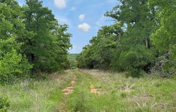 Tenbears CT, Mingus, TX 76463