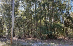 125 E Boundary Drive, Georgetown, FL 32139