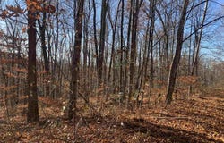 Narrows Road, Philippi, WV 26416