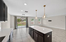 4773 MAGNETITE LOOP, MOUNT DORA, FL 32757