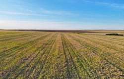 TBD County Road 31, Otis, CO 80743