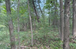 Critter Trail, Manistee, MI 49660