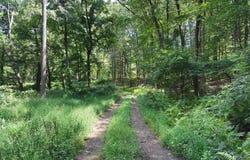 Scholler Road, New Tripoli, PA 18066