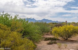 501 S Paseo Del Mundo, Green Valley, AZ 85614