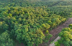 006 Cantrell Road, Mansfield, MO 65704