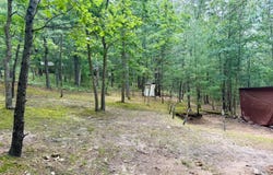 Columbine, Baldwin, MI 49304