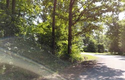 buckboard Road, Ozark Acres, AR 72482