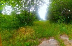 1224 W Nelson Street, Denison, TX 75020