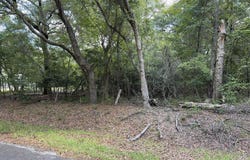 485 Corner  Lake Road, Grays, SC 29916