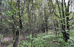 269 Walker Rd, Higginson, AR 72068